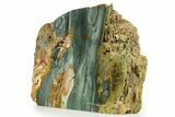 Free-Standing, Gary Green Jasper (Larsonite) Bog Wood - Oregon #334843-1